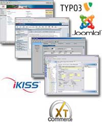 Content Management Systeme